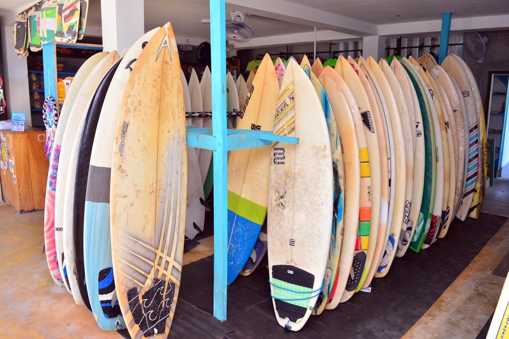 Cheeky Monkey Surf Camp Hotell Weligama Eksteriør bilde