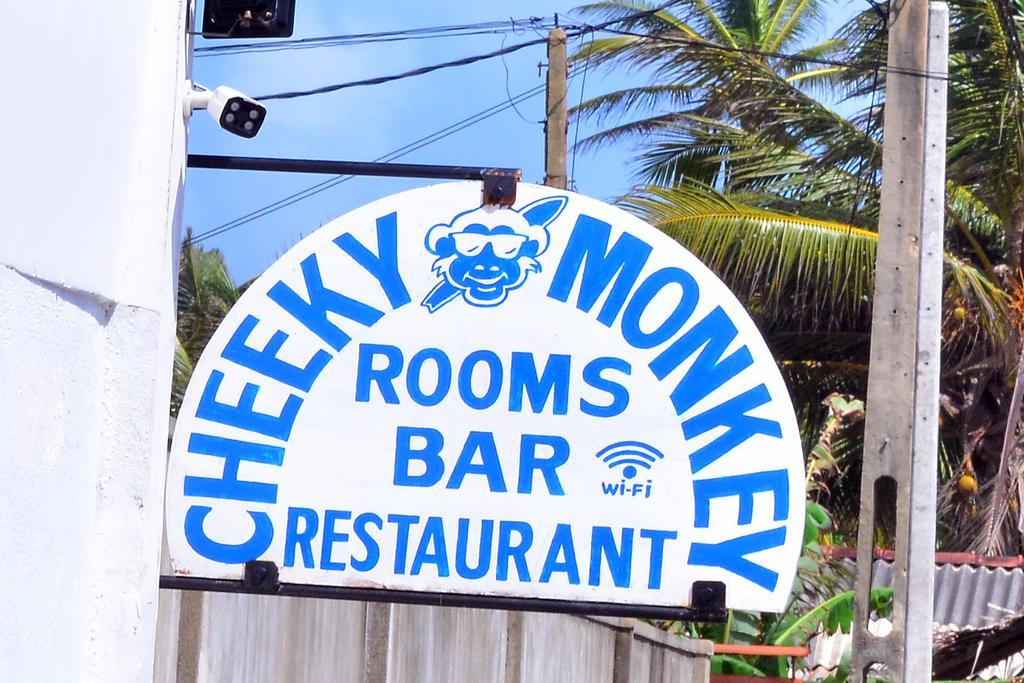 Cheeky Monkey Surf Camp Hotell Weligama Eksteriør bilde